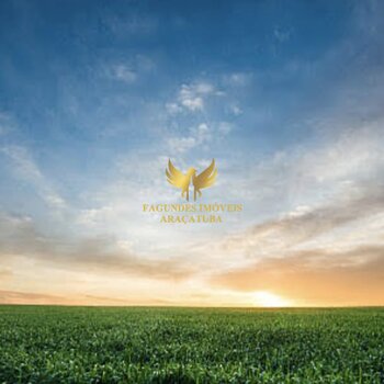 FAZENDA 403 ALQUERES  AGUA CLARA  MS