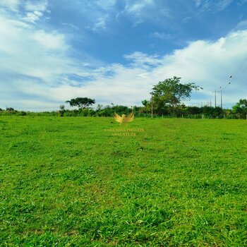 CHACARA  1.8 ALQUEIRES -   ARAÇATUBA SP