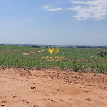 FAZDNDA DE CANA  DIRCE REIS   SP