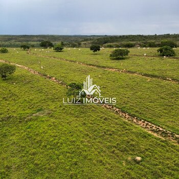 VENDO FAZENDA PECUÁRIA 391HECTARES JOÃO PINHEIRO MG