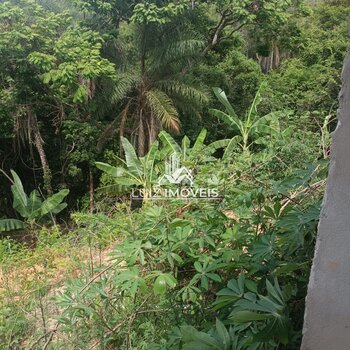 Vendo Rancho as Margens Rio Indaia Pe de Limão 
