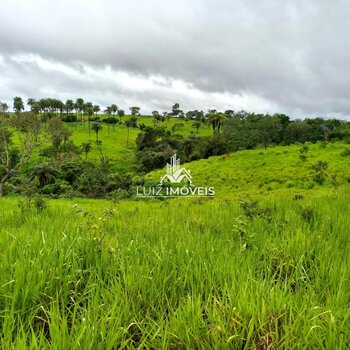 Vendo Pecuária 740hectares São Gonçalo do Abaete MG