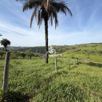 Vendo Fazenda 29.5hectares Rio Paranaíba MG