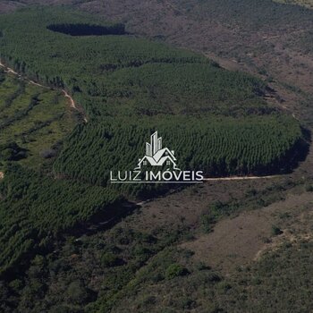 Vendo Fazenda 111hectares Tiros MG 31 Hectares Eucalipto 