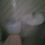 Imagem 15 de 30