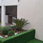 Imagem 21 de 30: Sobrado principal - Quintal